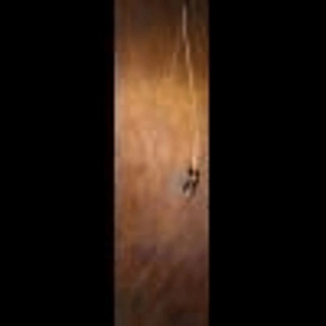 FALCO Archery - Longbow Saga Vintage